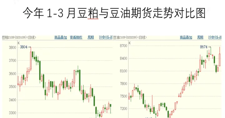 豆油期货持仓量排名前十(豆油期货持仓量排名前十名)_https://www.hougads.com_恒指直播室_第1张