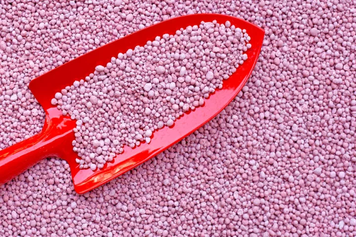 国内期货结算价（国内期货结算价格表）_https://www.hougads.com_恒指直播室_第1张