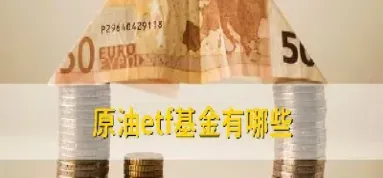 石油期货有什么基金(石油期货有什么基金吗)_https://www.hougads.com_恒指期货_第1张