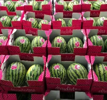 水果能作为期货吗(水果能作为期货吗为什么)_https://www.hougads.com_恒指学院_第1张