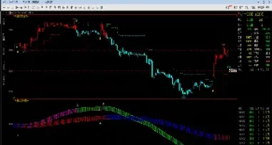 期货挑选趋势强的品种指标(期货挑选趋势强的品种指标有哪些)_https://www.hougads.com_恒指直播室_第1张