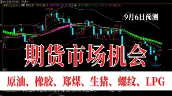 期货交易秘笈(期货交易秘笈是什么)_https://www.hougads.com_恒指期货_第1张