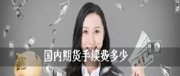 国内期货金融(国内期货金融市场)_https://www.hougads.com_恒指学院_第1张