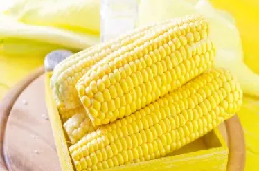 玉米期货多空(玉米期货多空大战)_https://www.hougads.com_恒指期货_第1张