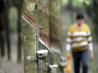 哪个交易所可以交易橡胶期货(哪个交易所可以交易橡胶期货品种)_恒指期货_第1张_厚德恒指期货直播室 哪个交易所可以交易橡胶期货(哪个交易所可以交易橡胶期货品种)_https://www.hougads.com_恒指期货_第1张