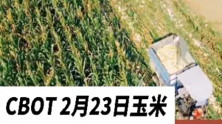 cbot小麦期货6月1日早报(小麦期货)_https://www.hougads.com_恒指期货_第1张