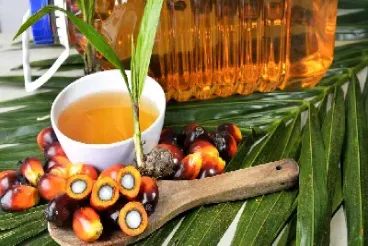 棕榈油期货2108(棕榈油期货2109)_https://www.hougads.com_恒指期货_第1张