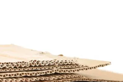 纸浆期货价格哪里看(纸浆期货在哪里看)_https://www.hougads.com_恒指期货_第1张