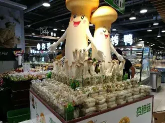 做大做强期货业(做好期货应该坚持哪四点)_https://www.hougads.com_恒指学院_第1张