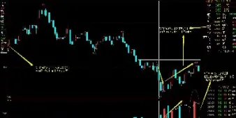 期货的持仓量数据怎么查(期货的持仓量数据怎么查询)_https://www.hougads.com_恒指学院_第1张