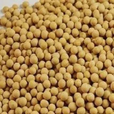 农产品大豆期货(美国大豆期货行情)_恒指直播室_第1张_厚德恒指期货直播室 农产品大豆期货(美国大豆期货行情)_https://www.hougads.com_恒指直播室_第1张