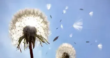 期货失败者的原因(期货失败者的原因有哪些)_https://www.hougads.com_恒指直播室_第1张