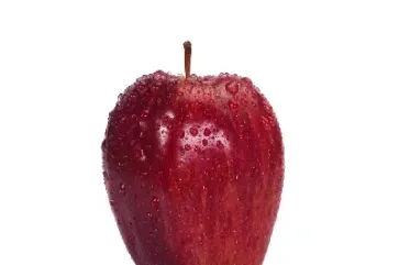 苹果期货上市价格走势(苹果期货上市价格走势图)_https://www.hougads.com_恒指直播室_第1张