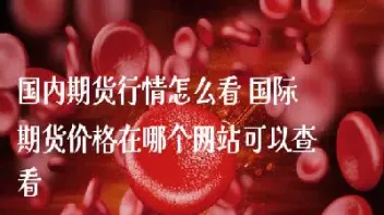 国内的期货怎么买(国内的期货怎么买美元)_https://www.hougads.com_恒指期货_第1张