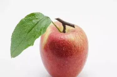 苹果期货交易时间是什么(苹果期货交易时间是什么意思)_https://www.hougads.com_恒指直播室_第1张