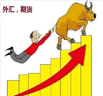 期货和外汇的不同(期货和外汇的不同点)_https://www.hougads.com_恒指期货_第1张