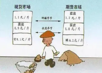 利用期货套期保值实例(利用期货套期保值实例说明)_https://www.hougads.com_恒指学院_第1张