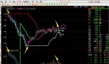 一笔期货交易(一笔期货交易最大的损失是什么)_https://www.hougads.com_恒指期货_第1张