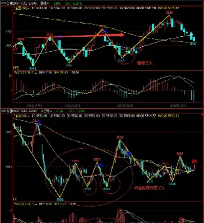 螺丝期货手续费(螺丝期货手续费用)_https://www.hougads.com_恒指期货_第1张
