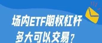 期货和期权杠杆(期货和期权杠杆的区别)_https://www.hougads.com_恒指学院_第1张