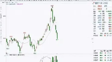 期货日内波幅最大的品种(期货日内波幅最大的品种是什么)_https://www.hougads.com_恒指期货_第1张