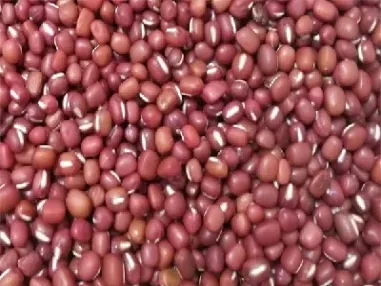 红小豆期货品种概况(红小豆期货品种概况介绍)_https://www.hougads.com_恒指期货_第1张