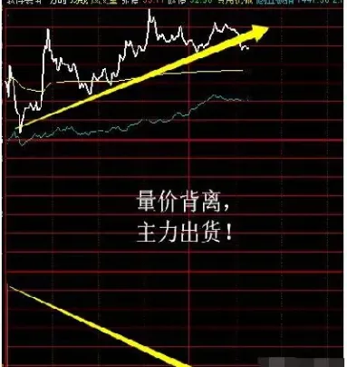 期货中主力出货需要多久(期货中主力出货需要多久时间)_https://www.hougads.com_恒指学院_第1张