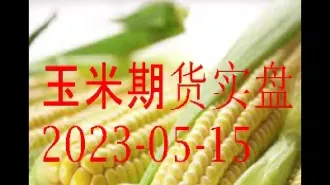 玉米期货市场9月29日早报(玉米期货市场9月29日早报最新)_恒指直播室_第1张_厚德恒指期货直播室 玉米期货市场9月29日早报(玉米期货市场9月29日早报最新)_https://www.hougads.com_恒指直播室_第1张