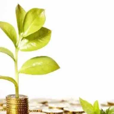 期货业未来发展前景(期货业未来发展前景分析)_https://www.hougads.com_恒指直播室_第1张