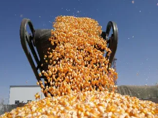 玉米期货买卖交易(玉米期货买卖交易时间)_https://www.hougads.com_恒指期货_第1张