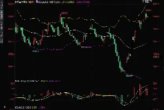 外汇黄金期货直播(外汇黄金期货直播排名第一名)_https://www.hougads.com_恒指期货_第1张