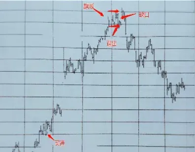 期货表格上面是价格下面是(期货上显示的价是什么价)_https://www.hougads.com_恒指直播室_第1张