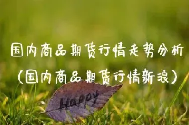 什么是国内商品期货(什么是国内商品期货交易)_https://www.hougads.com_恒指直播室_第1张