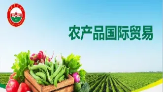 大宗农产品是期货吗(大宗农产品交易)_https://www.hougads.com_恒指学院_第1张