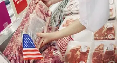 美国猪肉期货为啥跌停了(美国猪肉期货为啥跌停了呢)_https://www.hougads.com_恒指学院_第1张