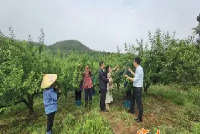 农民怎样参与期货市场(农民怎样参与期货市场交易)_https://www.hougads.com_恒指期货_第1张