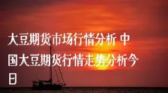 大豆的期货市场在哪里(大豆的期货市场在哪里啊)_https://www.hougads.com_恒指期货_第1张