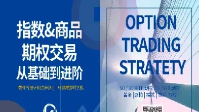 比较期货交易与期权交易(比较期货交易与期权交易的区别)_https://www.hougads.com_恒指期货_第1张