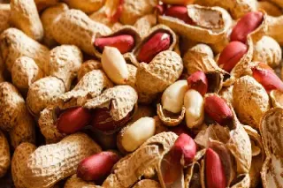 花生期货为什么上市(花生期货为什么上市了)_https://www.hougads.com_恒指学院_第1张