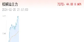 棕榈油期货合约规则(棕榈油期货合约规则最新)_https://www.hougads.com_恒指学院_第1张