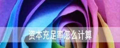 期货资本充足率的计算方式为(期货资金容量)_https://www.hougads.com_恒指期货_第1张