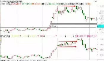 为什么期货没有五档挂单(为什么期货没有五档挂单呢)_https://www.hougads.com_恒指期货_第1张