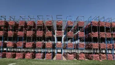 大蒜期货郑州商品交易所上市(郑州商品交易所大蒜)_https://www.hougads.com_恒指学院_第1张