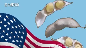 美国大豆期货价格持续下跌(美国大豆期货价格持续下跌的原因)_https://www.hougads.com_恒指期货_第1张