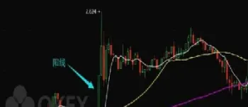 期货k线大阳柱(期货大阳线是什么意思)_https://www.hougads.com_恒指期货_第1张