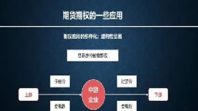 期货的选择权在谁手里(期货选择权是什么意思)_https://www.hougads.com_恒指学院_第1张