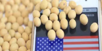 受助于大豆期货上涨(受助于大豆期货上涨的因素)_https://www.hougads.com_恒指学院_第1张