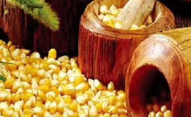 玉米小盘智投期货(玉米期货控盘严重)_https://www.hougads.com_恒指期货_第1张