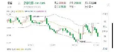紫金系列期货(紫金系列期货怎么样)_https://www.hougads.com_恒指直播室_第1张