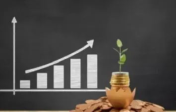 期货种子基金是什么意思(期货种子基金是什么意思啊)_https://www.hougads.com_恒指学院_第1张